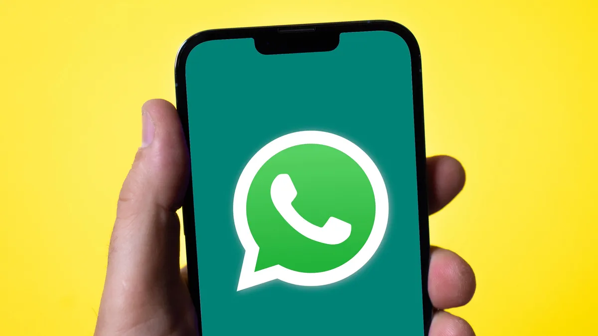 三步提取普通WhatsApp账户:适合初步营销活动